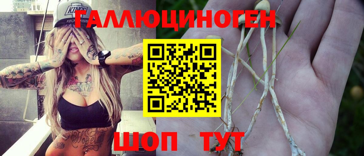Псилоцибиновые грибы GOLDEN TEACHER  Вход с VPN  Рязань 